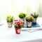 Set of 6 Potted Artificial Flowers – Faux Floral Spring Decor